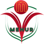 (MEHUR) LTD